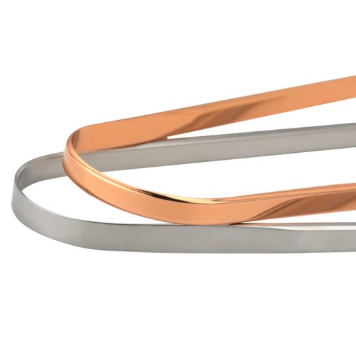 Tongue Cleaner Scraper for Adult BTS001